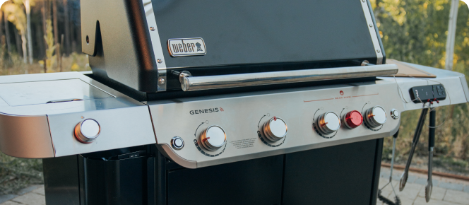 SCOPRI COME VINCERE UN BARBECUE WEBER TRAVELER